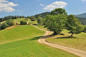 Wycieczki szkolne w Beskidy Wycieczki szkolne BESKIDY
