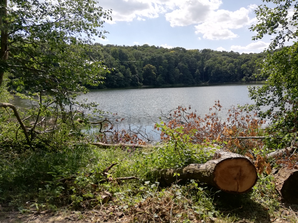Wycieczki szkolne Wielkopolski Park Narodowy
