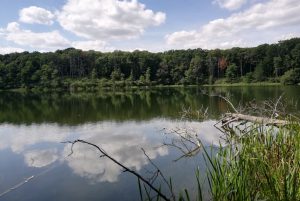 Wycieczka szkolna Muzeum Fiedlera